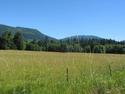 Hay Field In Early Summer
Picture # 2336
